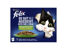 PURINA FELIX Katzennassfutter So gut wie es aussieht in Gelee Gemischte Vielfalt mit Gemuese