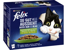 PURINA FELIX Katzennassfutter So gut wie es aussieht in Gelee Gemischte Vielfalt mit Gemuese