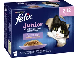 PURINA FELIX Katzennassfutter So gut wie es aussieht in Gelee Junior gemischte Vielfalt