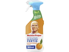 Meister Proper Allzweckreiniger Spruehen Wischen Fertig Kuechenspray