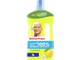 Meister Proper Allzweckreiniger Citrusfrische