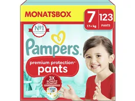 Pampers Premium Protection Pants Windeln Gr 7 17 kg