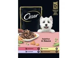 CESAR Portionsbeutel Multipack Selektion in Sauce 4 Varietaeten 12 x 100g