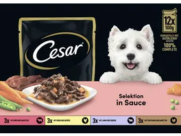 CESAR Portionsbeutel Multipack Selektion in Sauce 4 Varietaeten 12 x 100g