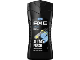 Axe Duschgel Alaska 250 ml