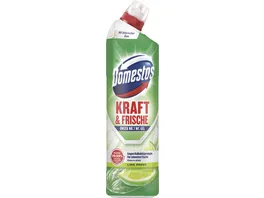 Domestos WC Gel Lime Fresh