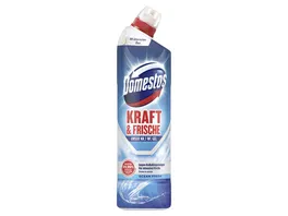 Domestos WC Gel Kraft Frische Ocean Fresh