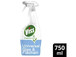 Viss Kraft Glanz Glas Flaechen 750 ml