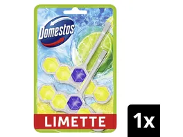 Domestos Power 5 WC Stein Duo Limette