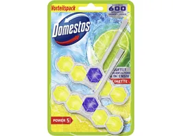 Domestos Power 5 WC Stein Duo Limette