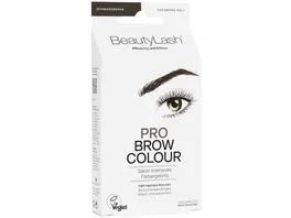 BeautyLash Pro Brow Colour schwarzbraun