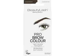 BeautyLash Pro Brow Colour schwarzbraun