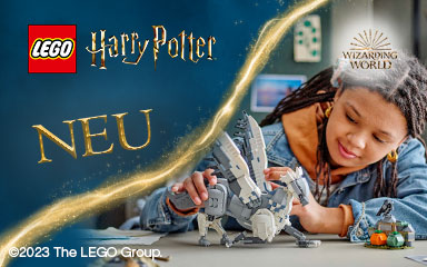 LEGO Harry Potter bei Müller