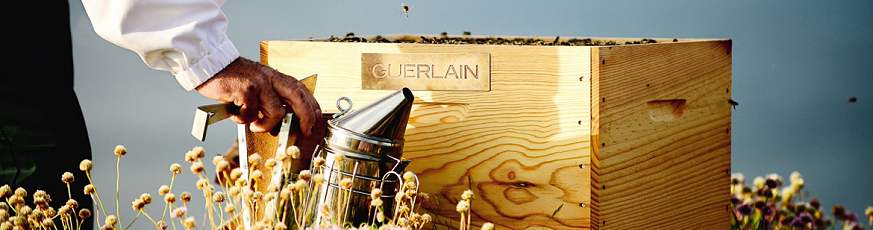 guerlain-bee-day