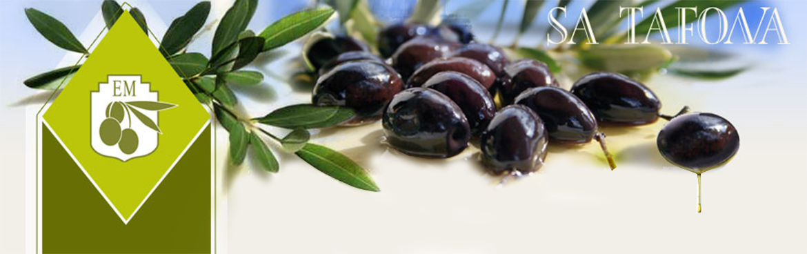 Sa Tafona de EM Natives Olivenöl