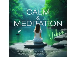 Calm Meditation Vibes