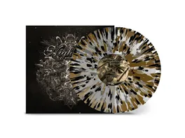 Endless Forms Most Beautiful Clear Gold Black Splatter in G