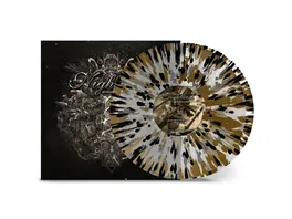 Endless Forms Most Beautiful Clear Gold Black Splatter in Gatefold
