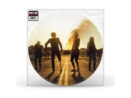 Dogs of war Picture Disc