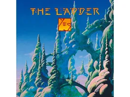 The Ladder