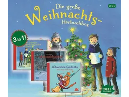 Die grosse Weihnachts Box