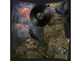 Sentry Black Vinyl