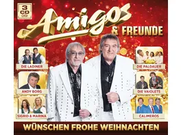 Amigos Freunde wuenschen frohe Weihnachten