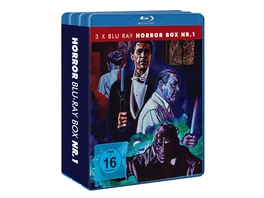 HORROR BLU RAY BUNDLE NR 1 3 BRs