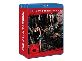 HORROR BLU RAY BUNDLE NR 2 3 BRs