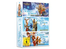 Die Schneekoenigin 1 3 Box 3 DVDs