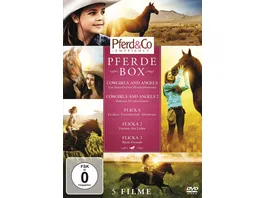 Pferde Box 5 DVDs