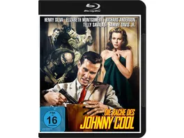 Die Rache des Johnny Cool