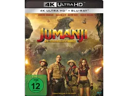 Jumanji Willkommen im Dschungel 4K Ultra HD Blu ray 2D
