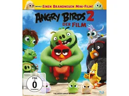 Angry Birds 2 Der Film