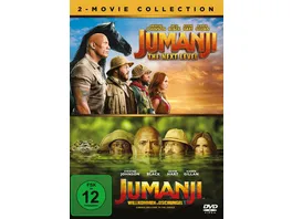 Jumanji The Next Level Jumanji Willkommen im Dschungel 2 DVDs