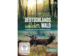 Deutschlands wilder Wald Das geheime Leben der Rothirsche Naturwunder Schorfheide