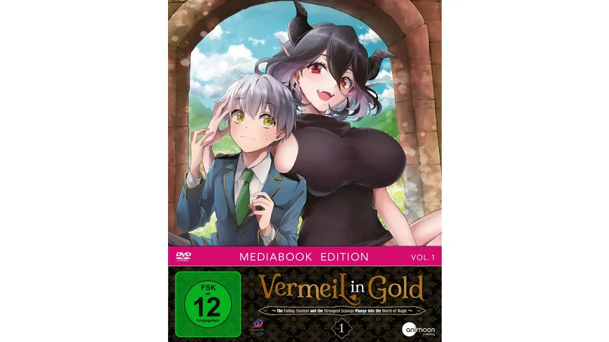  Vermeil in Gold Vol.1 - Mediabook Edition : Everything