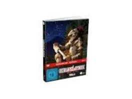 Goblin Slayer Season 2 Vol 2 Limited Mediabook