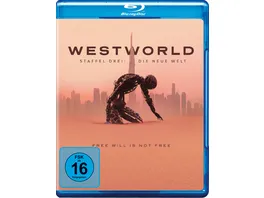 Westworld Staffel 3 3 BRs