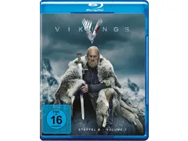 Vikings Season 6 1 3 BRs