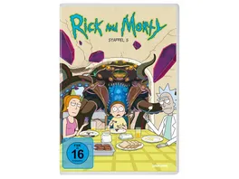 Rick Morty Staffel 5 2 DVDs