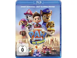 Paw Patrol Der Kinofilm