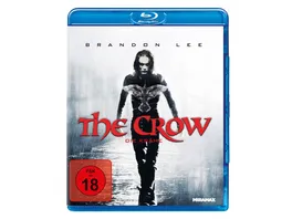 The Crow Die Kraehe