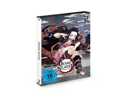 Demon Slayer Staffel 1 Vol 2 2 DVDs