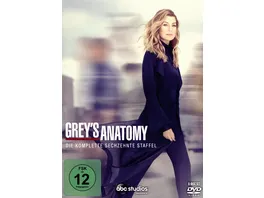 Grey s Anatomy Staffel 16 6 DVDs